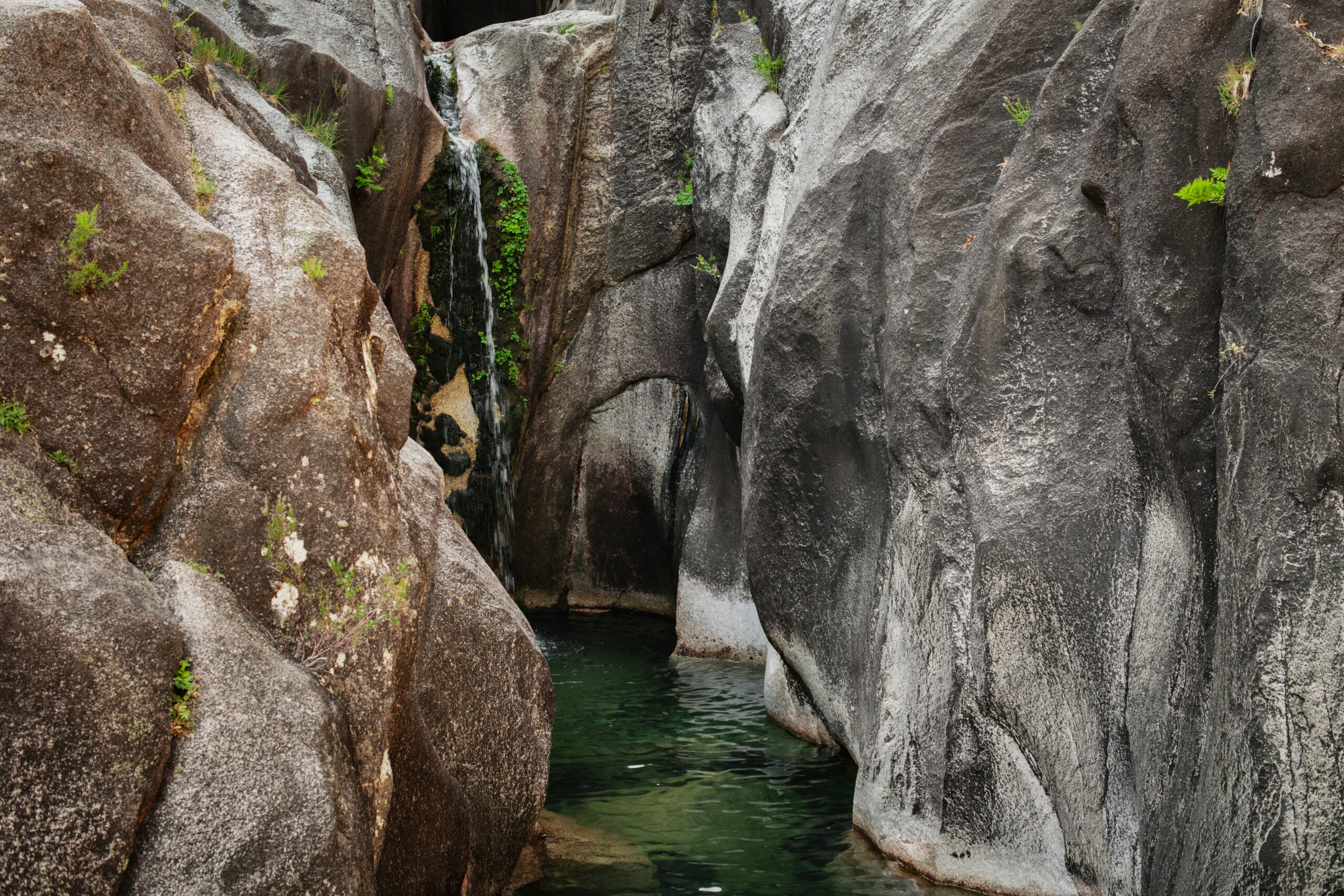 Gerês floresta trilho caminhada