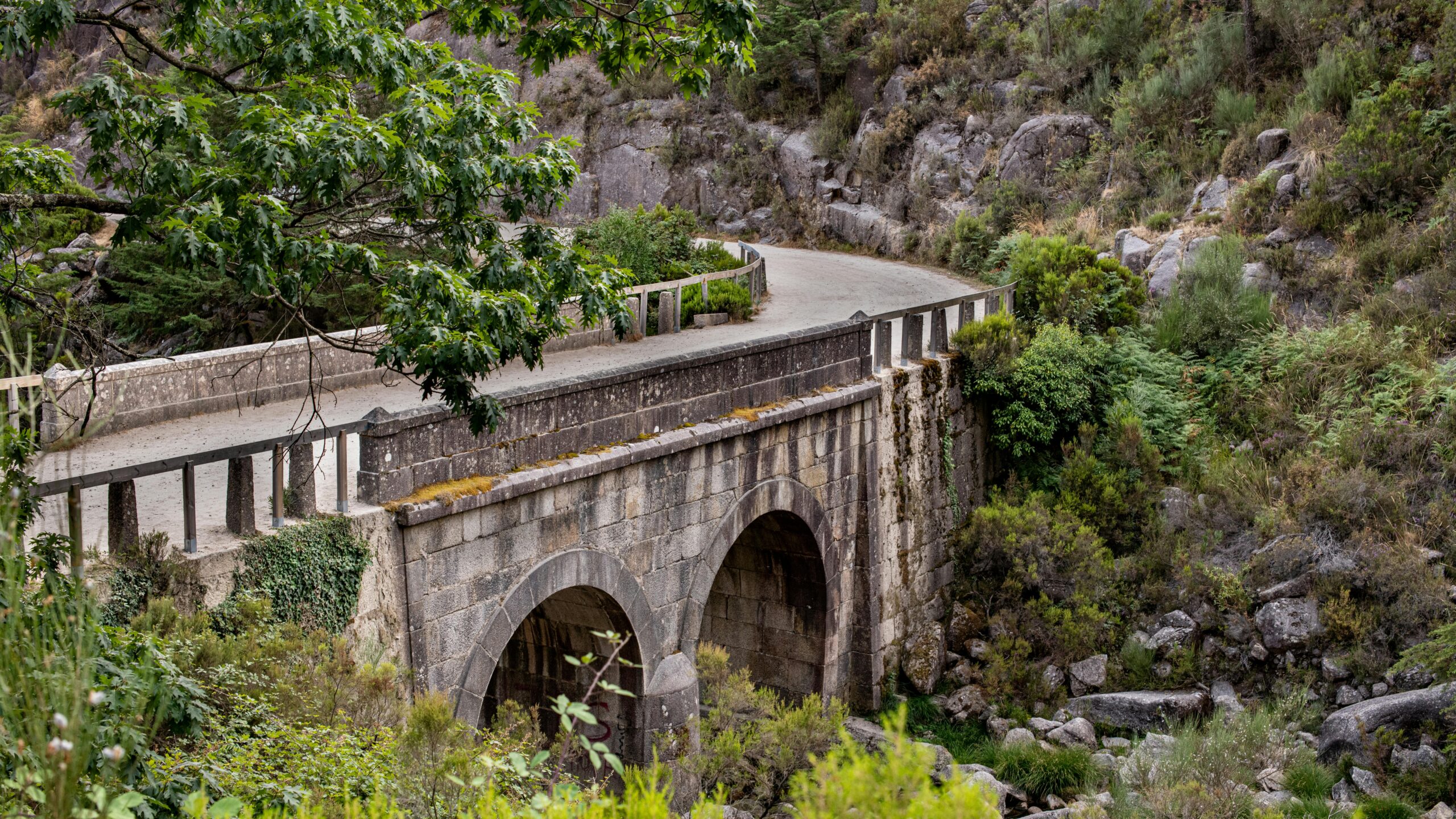 Gerês natureza verde água cascata